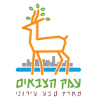 צילום-מסך-2025-12-30-122919